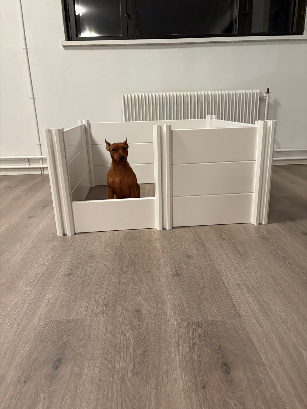Paw Studio valpekasse MEDIUM