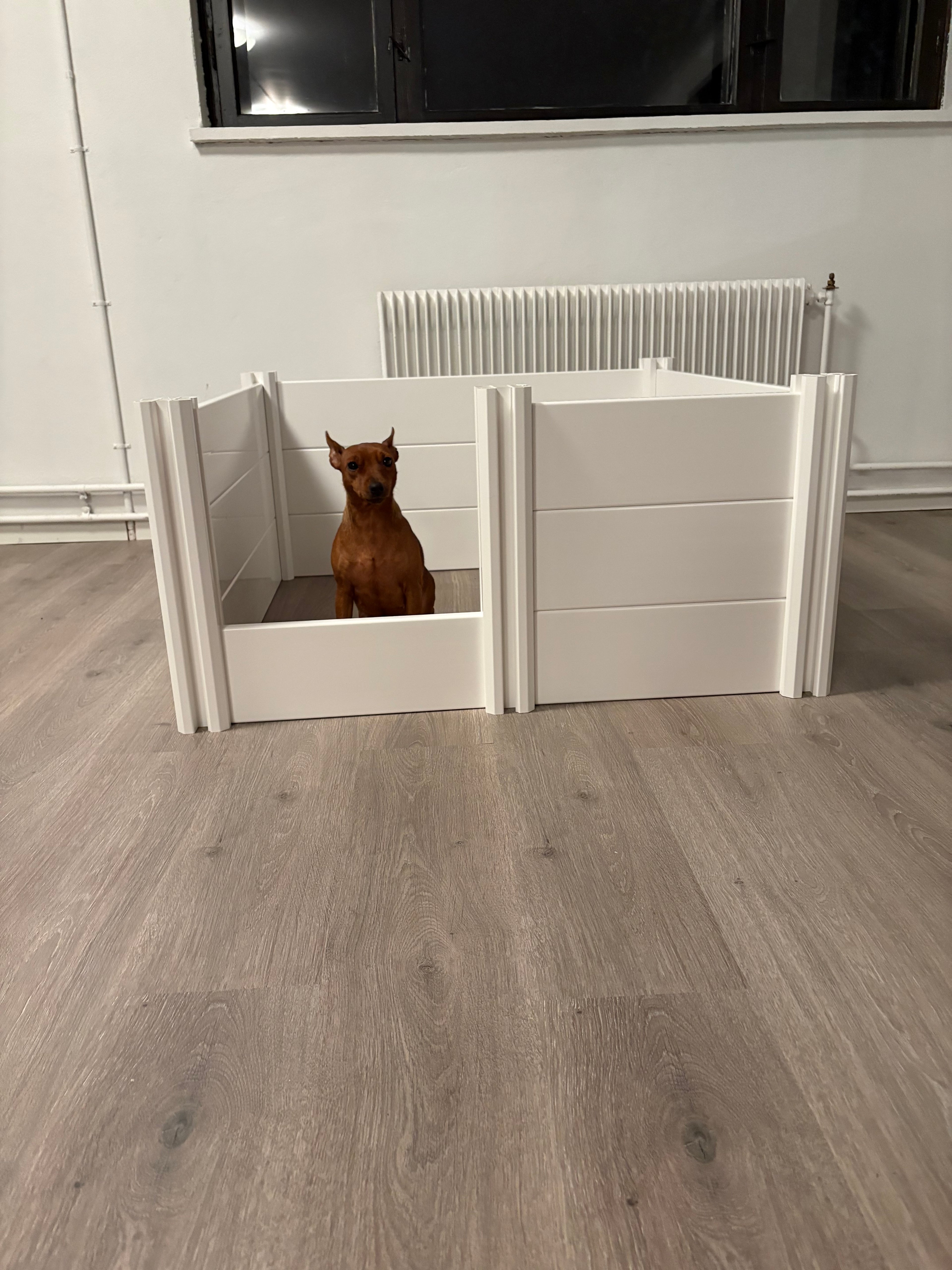 Paw Studio valpekasse MEDIUM